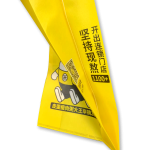 ZW-SC600 無紡布風琴手提袋制袋機